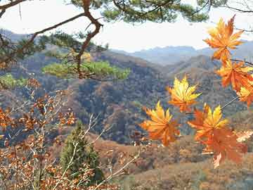 叙永最新热点新闻，展现多彩生活风采